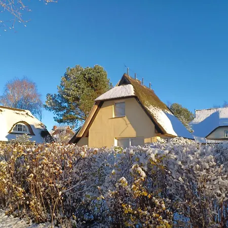 Haus Seestern Holiday home